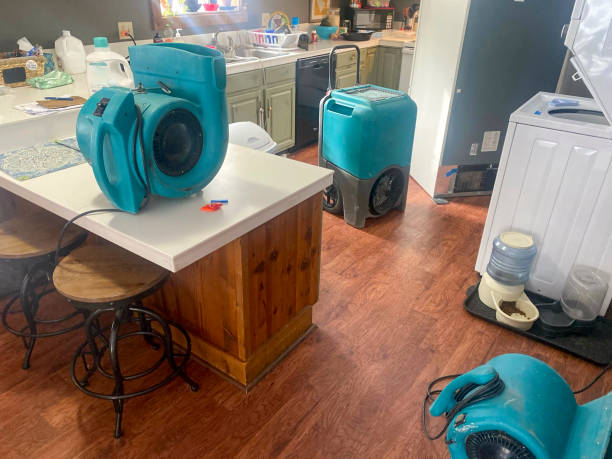 Best Basement water damage restoration  in Mcconnell Af, KS