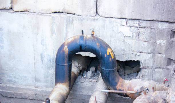 Best Mold removal after water damage  in Mcconnell Af, KS