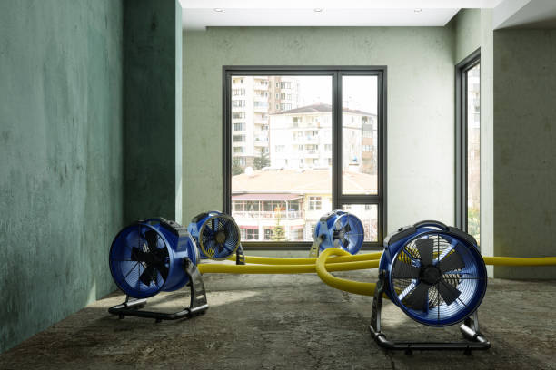 Best Water damage restoration near me  in Mcconnell Af, KS
